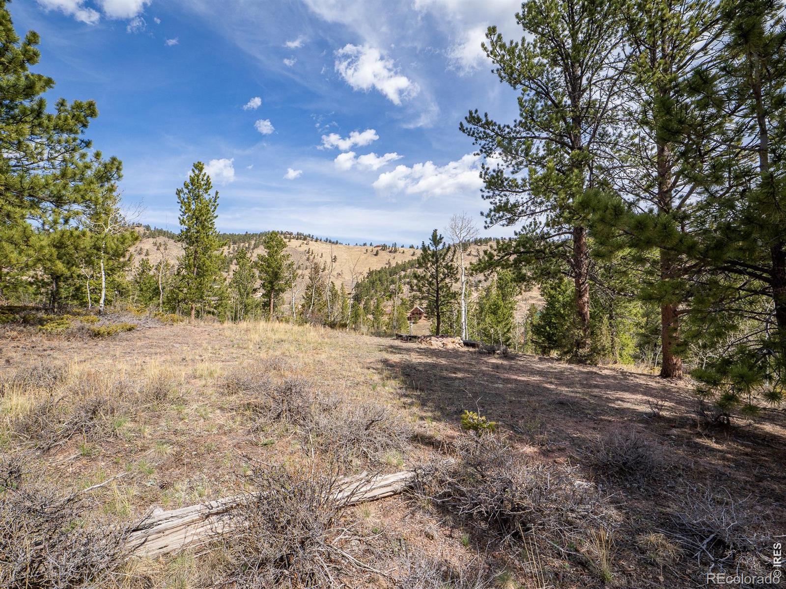 384 Ute Court Red Feather Lakes CO 80545