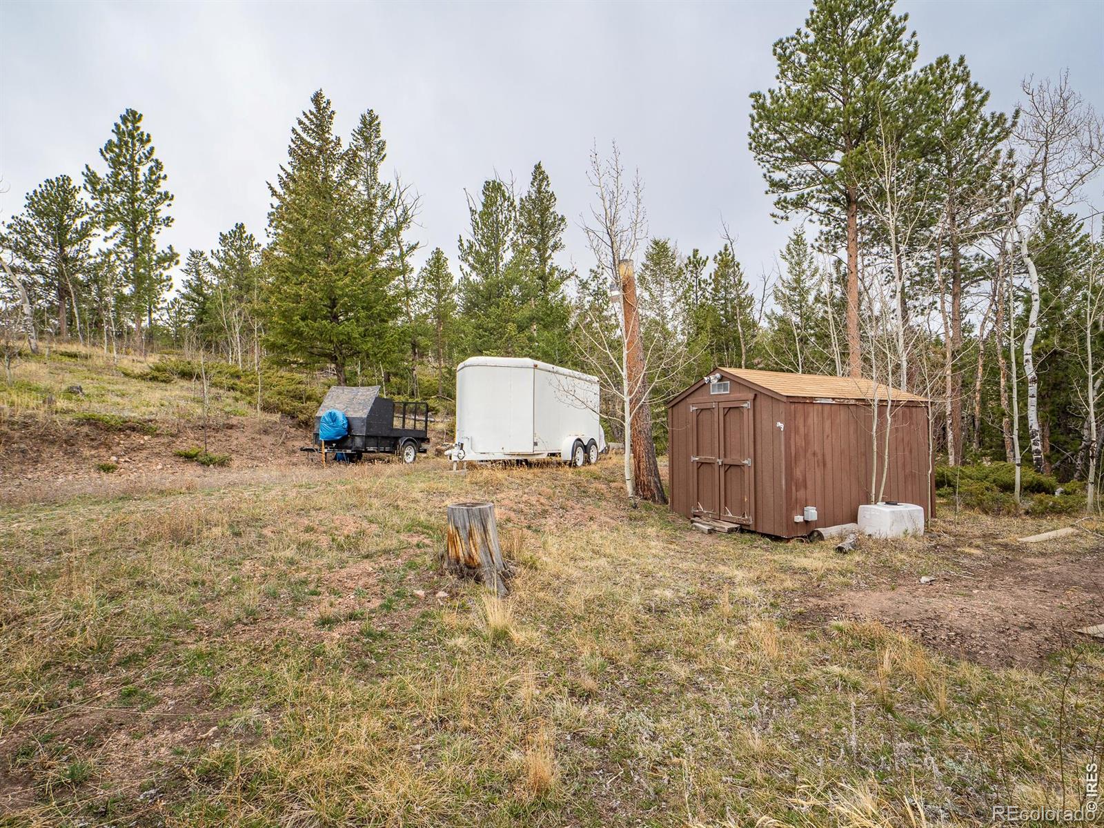 384 Ute Court Red Feather Lakes CO 80545