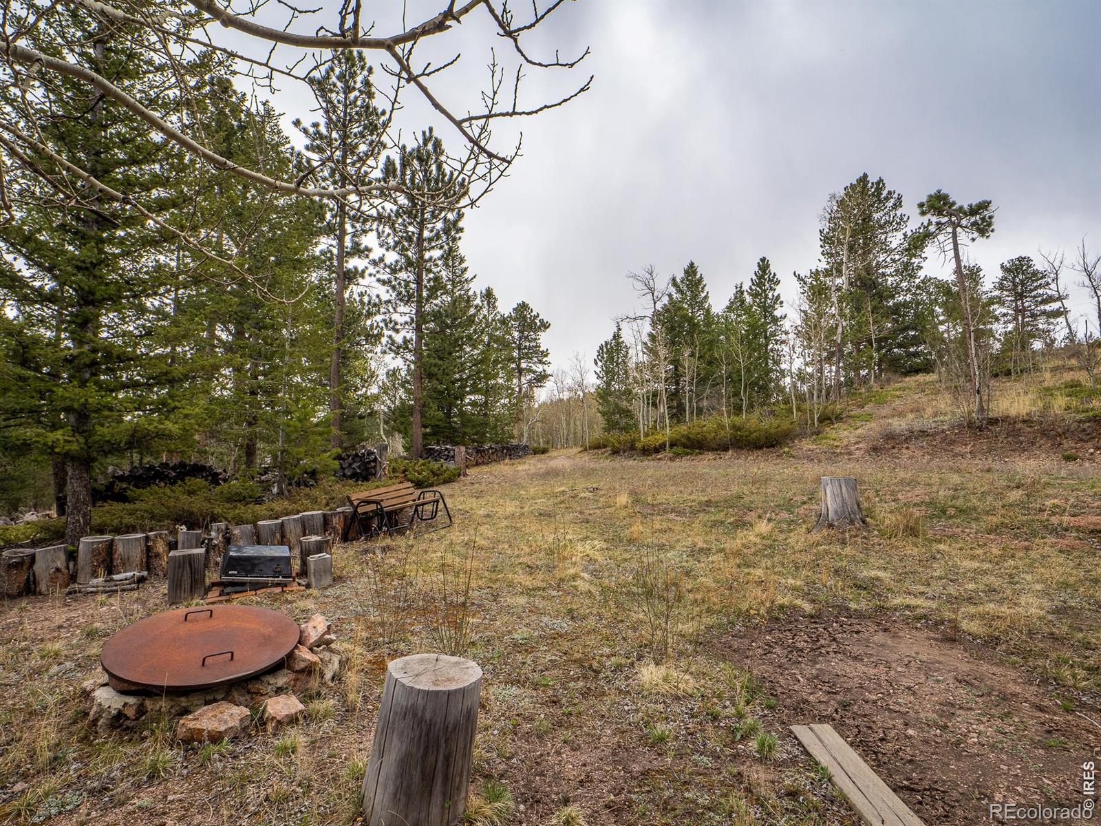 384 Ute Court Red Feather Lakes CO 80545