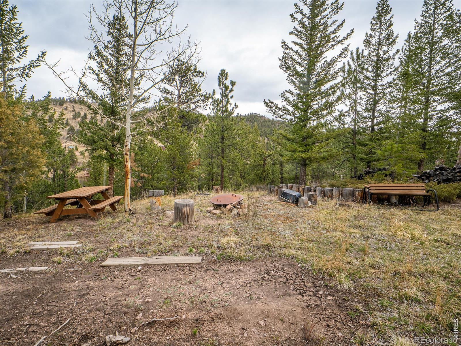 384 Ute Court Red Feather Lakes CO 80545