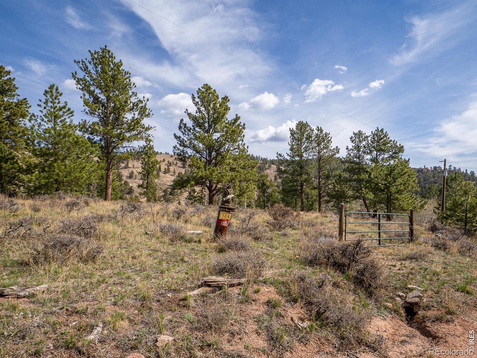 384 Ute Court Red Feather Lakes CO 80545