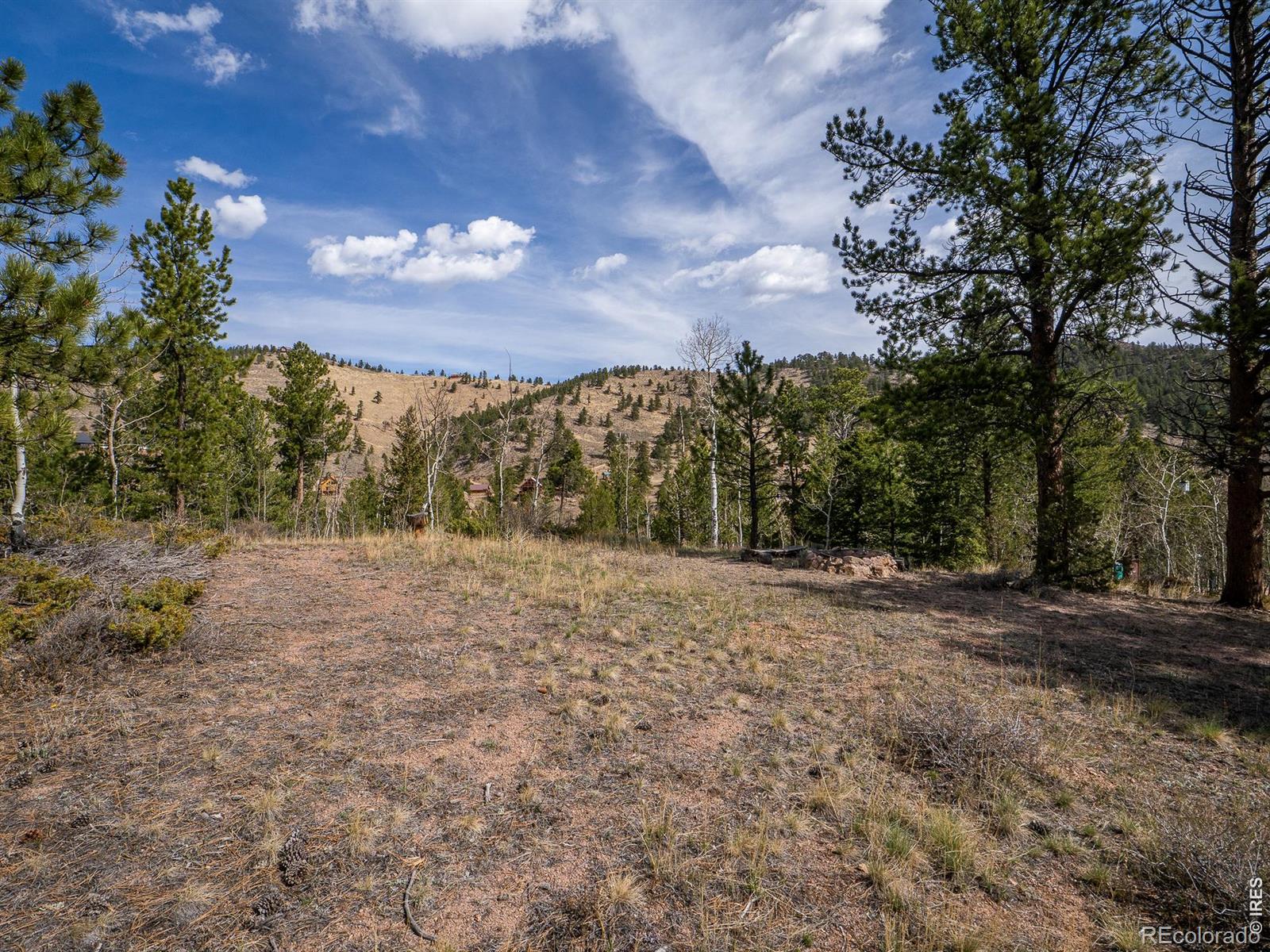 384 Ute Court Red Feather Lakes CO 80545