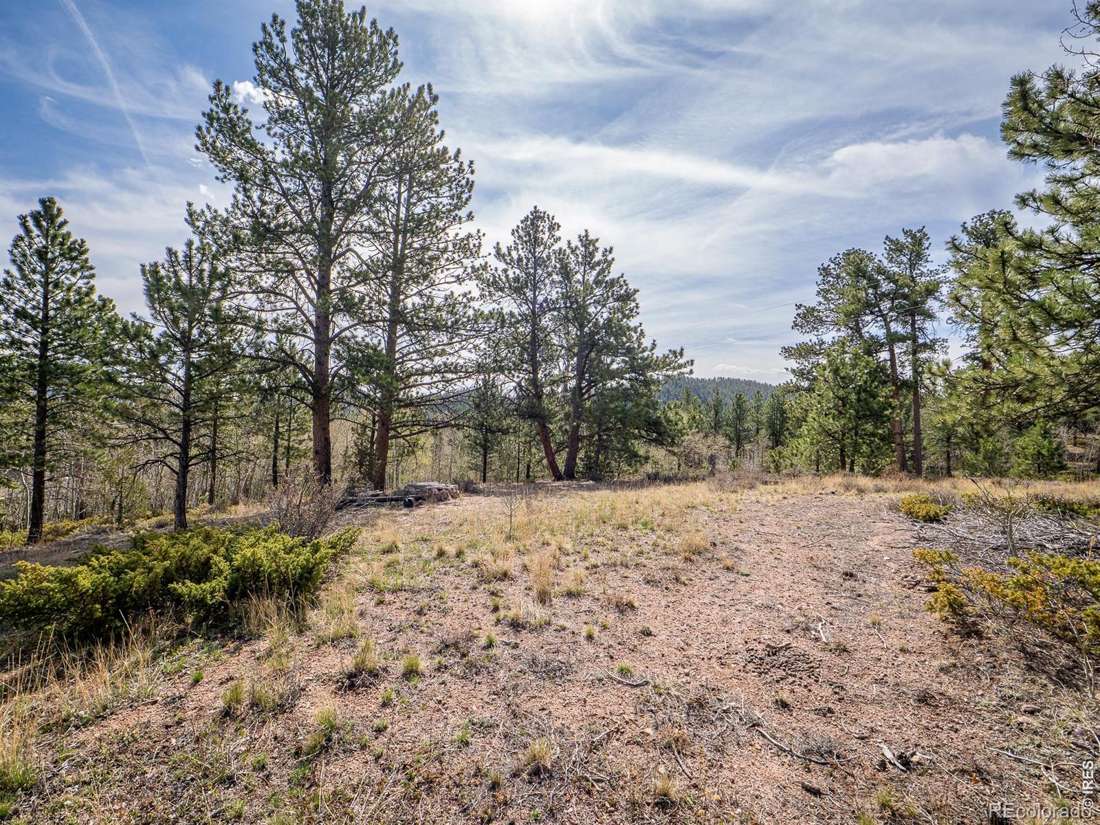 384 Ute Court Red Feather Lakes CO 80545