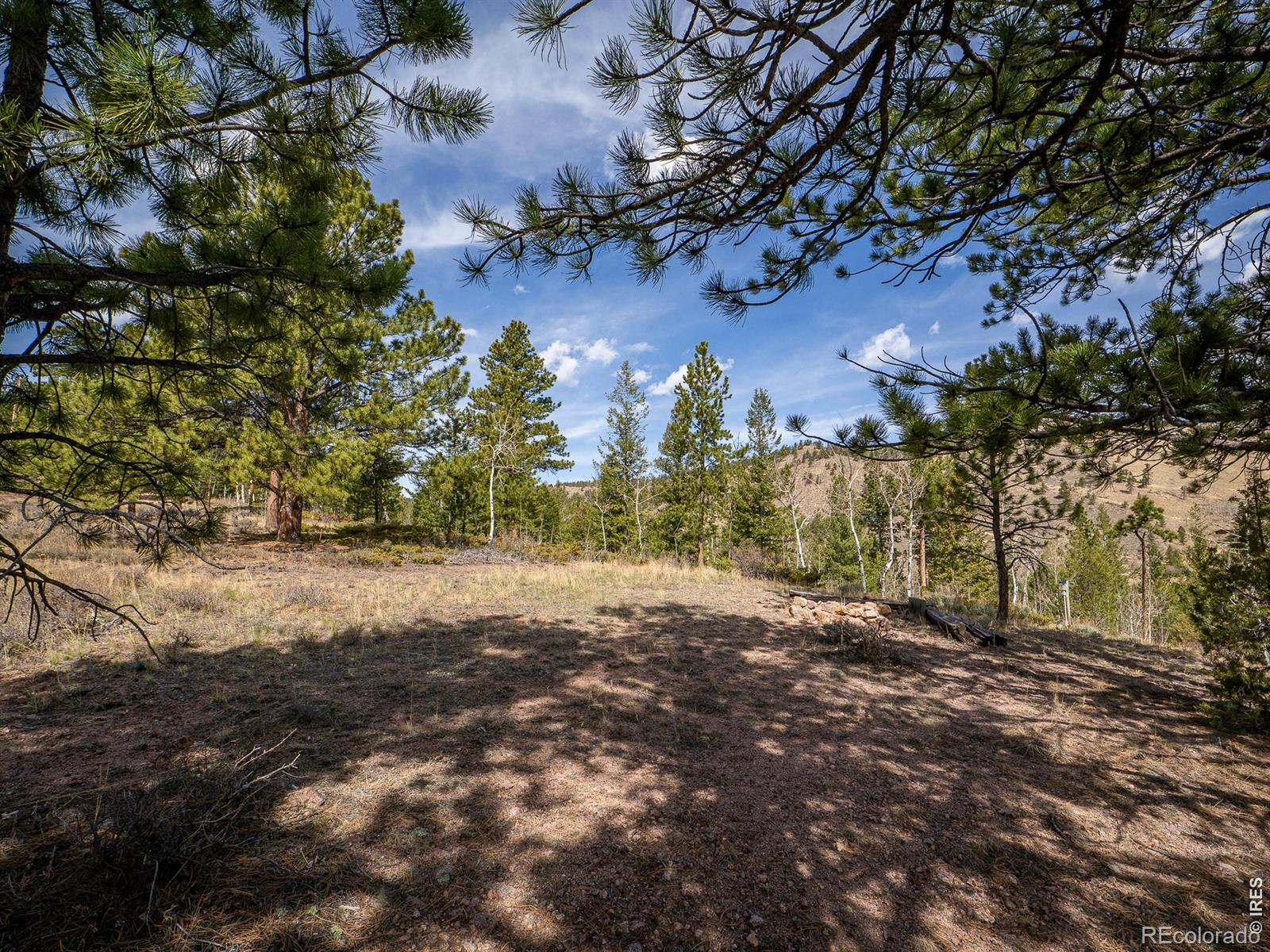 384 Ute Court Red Feather Lakes CO 80545