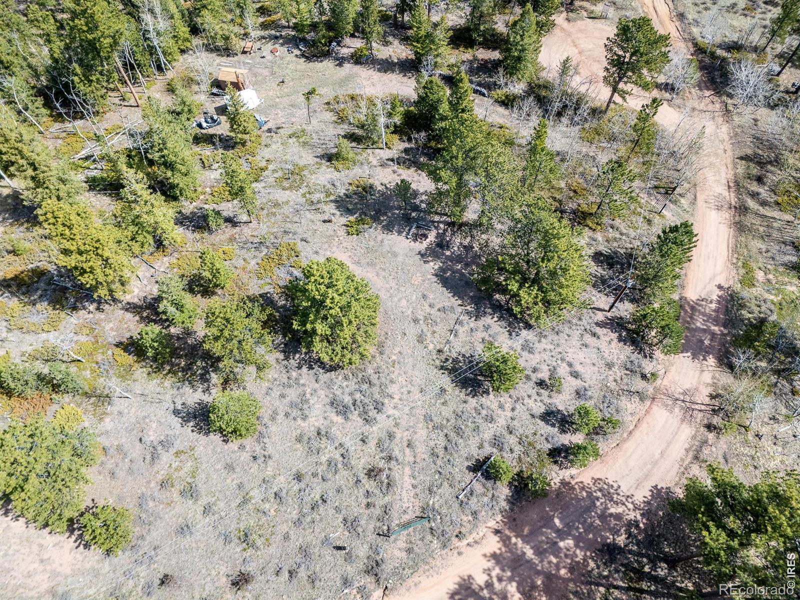 384 Ute Court Red Feather Lakes CO 80545