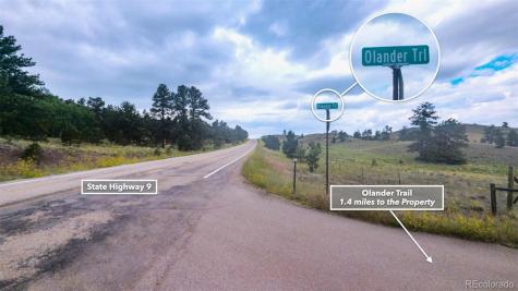 631 Dwyer Trail Hartsel CO 80449