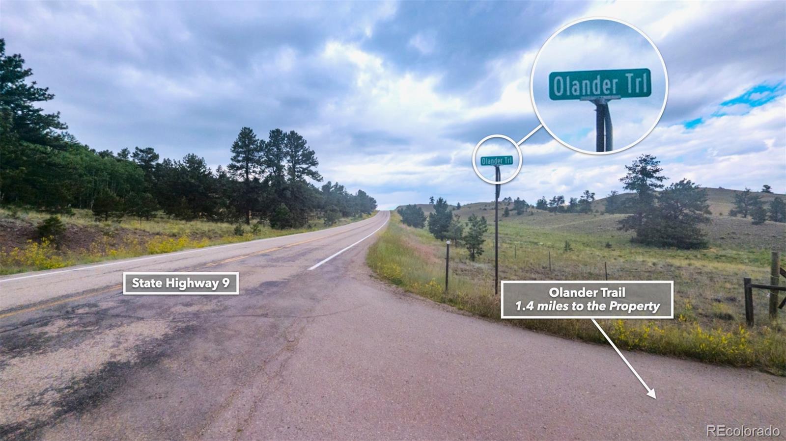 631 Dwyer Trail Hartsel CO 80449