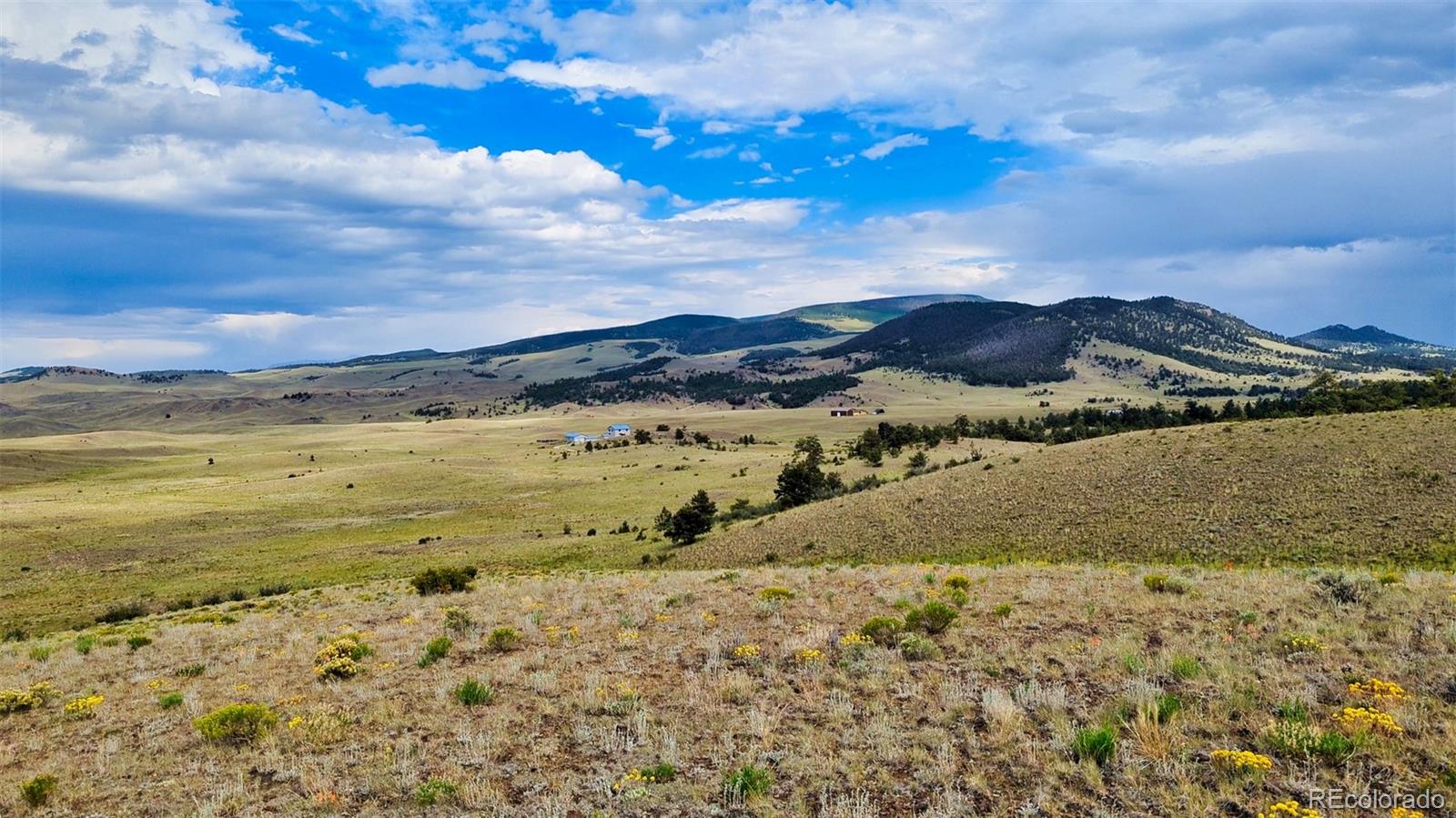 631 Dwyer Trail Hartsel CO 80449