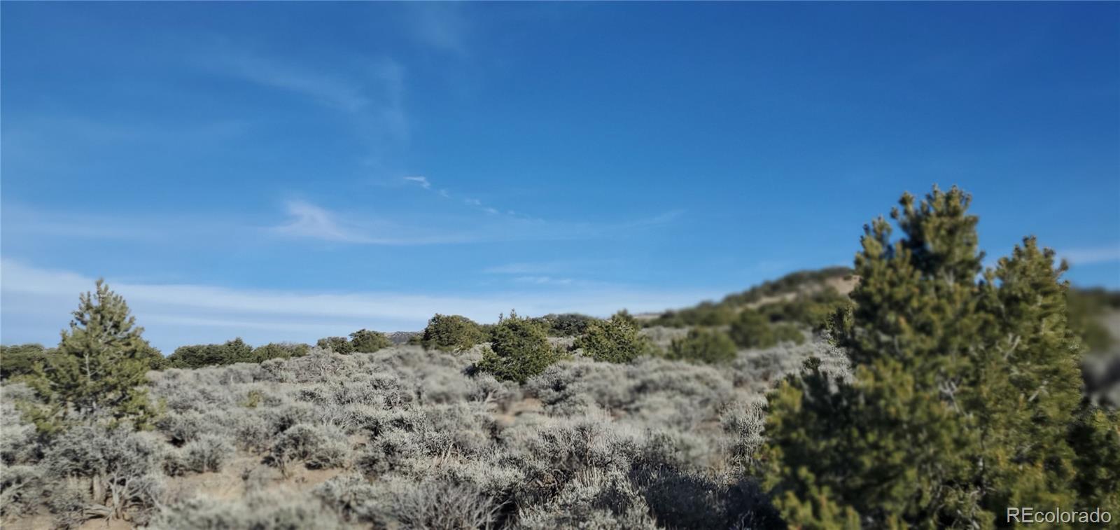 Lot 1099 Cacky Road Fort Garland CO 81133