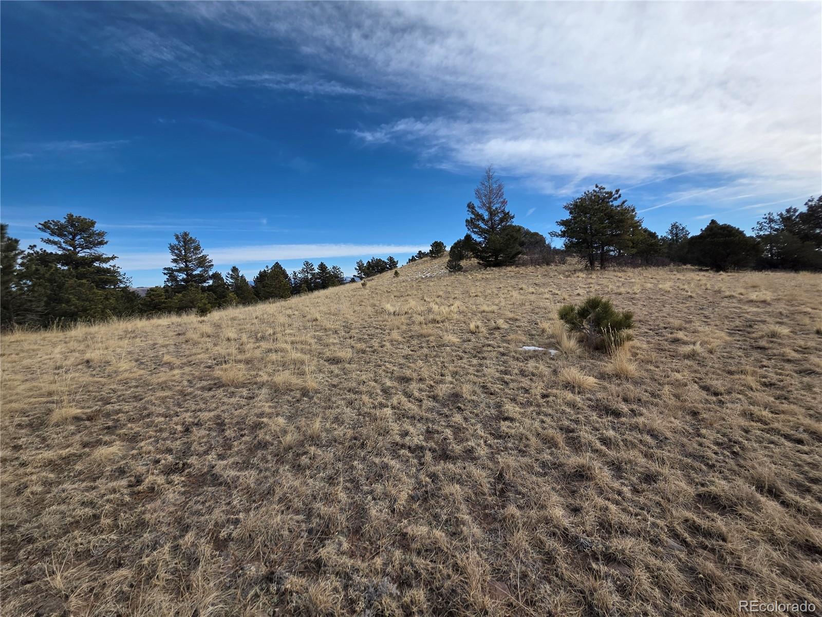 761 Basswood Lane Canon City CO 81212