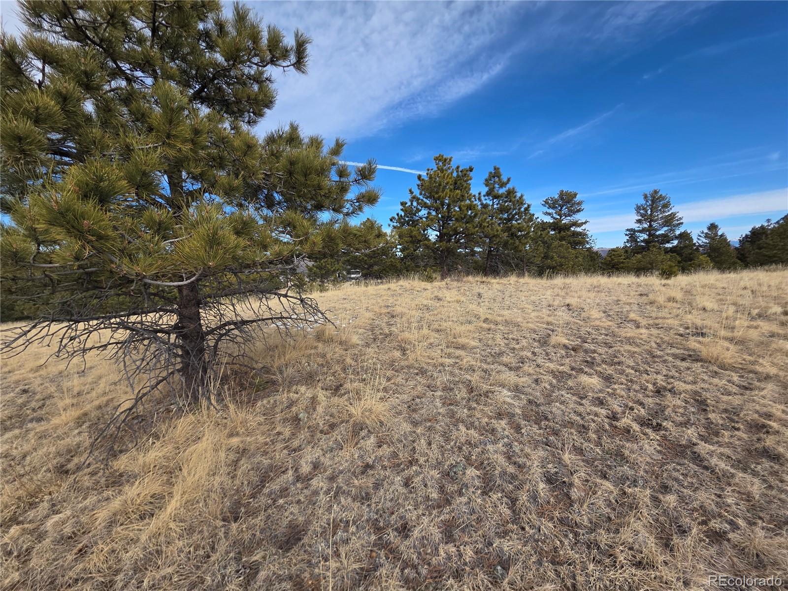 761 Basswood Lane Canon City CO 81212