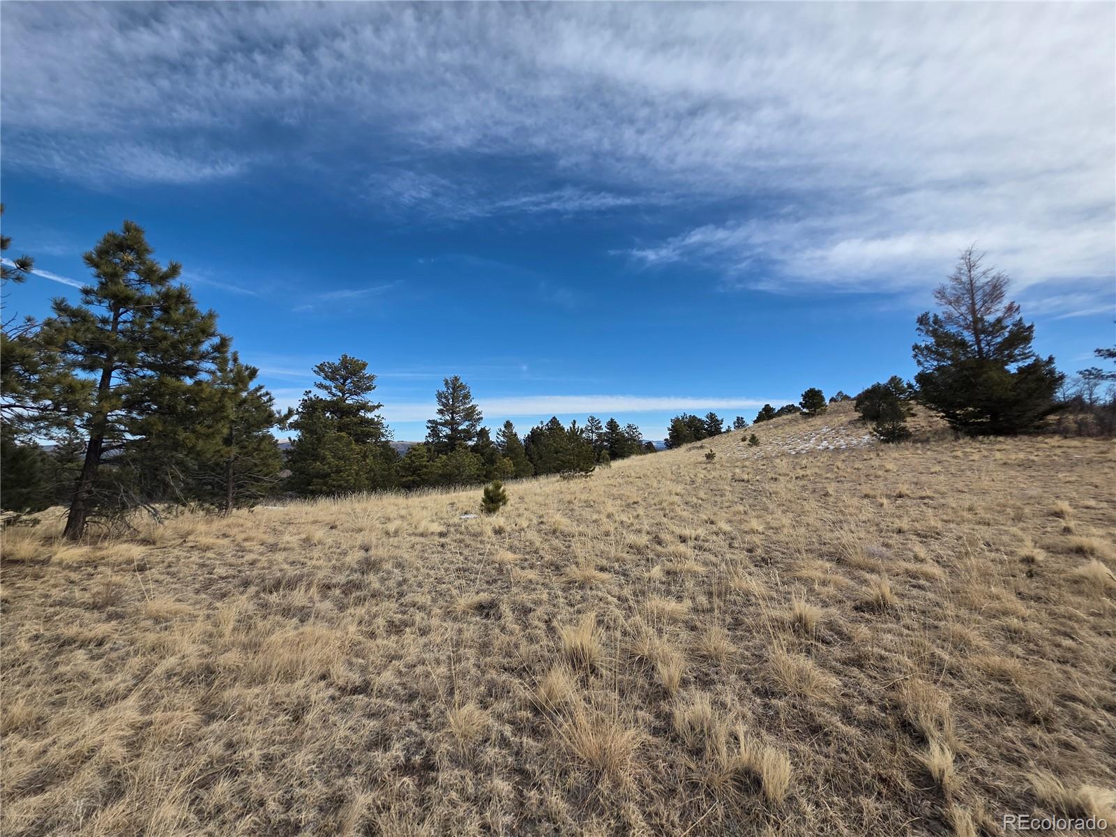 761 Basswood Lane Canon City CO 81212