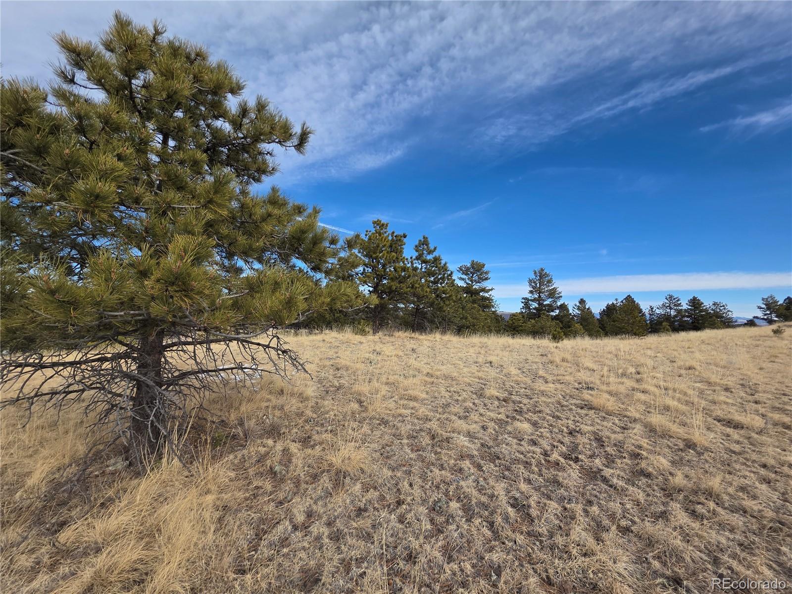 761 Basswood Lane Canon City CO 81212
