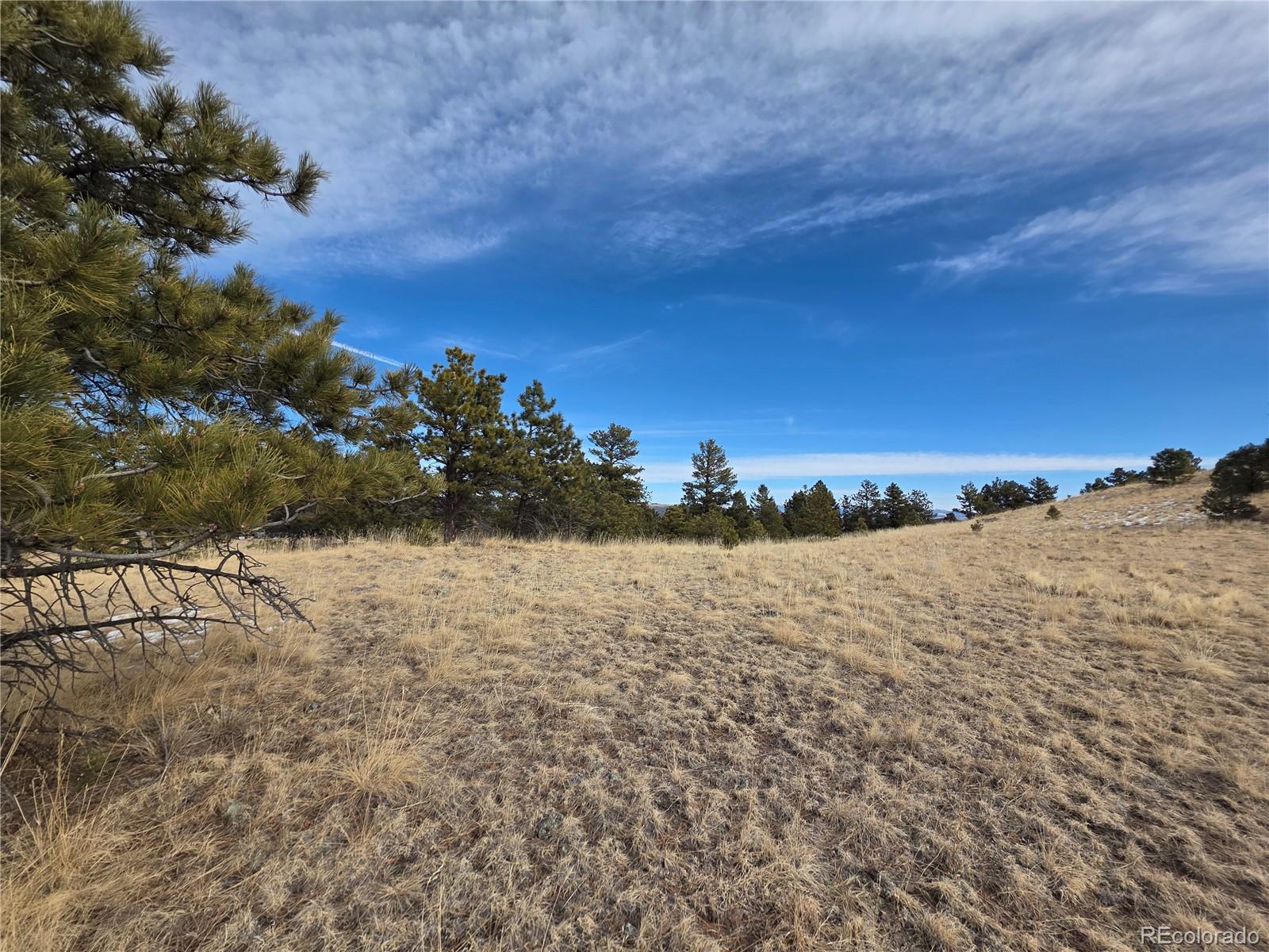 761 Basswood Lane Canon City CO 81212