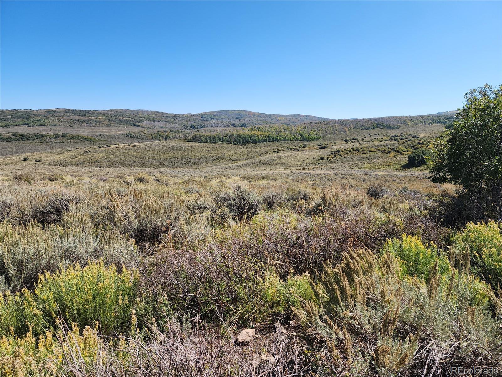 000 Divide (Mont's Draw) Road Gateway CO 81522