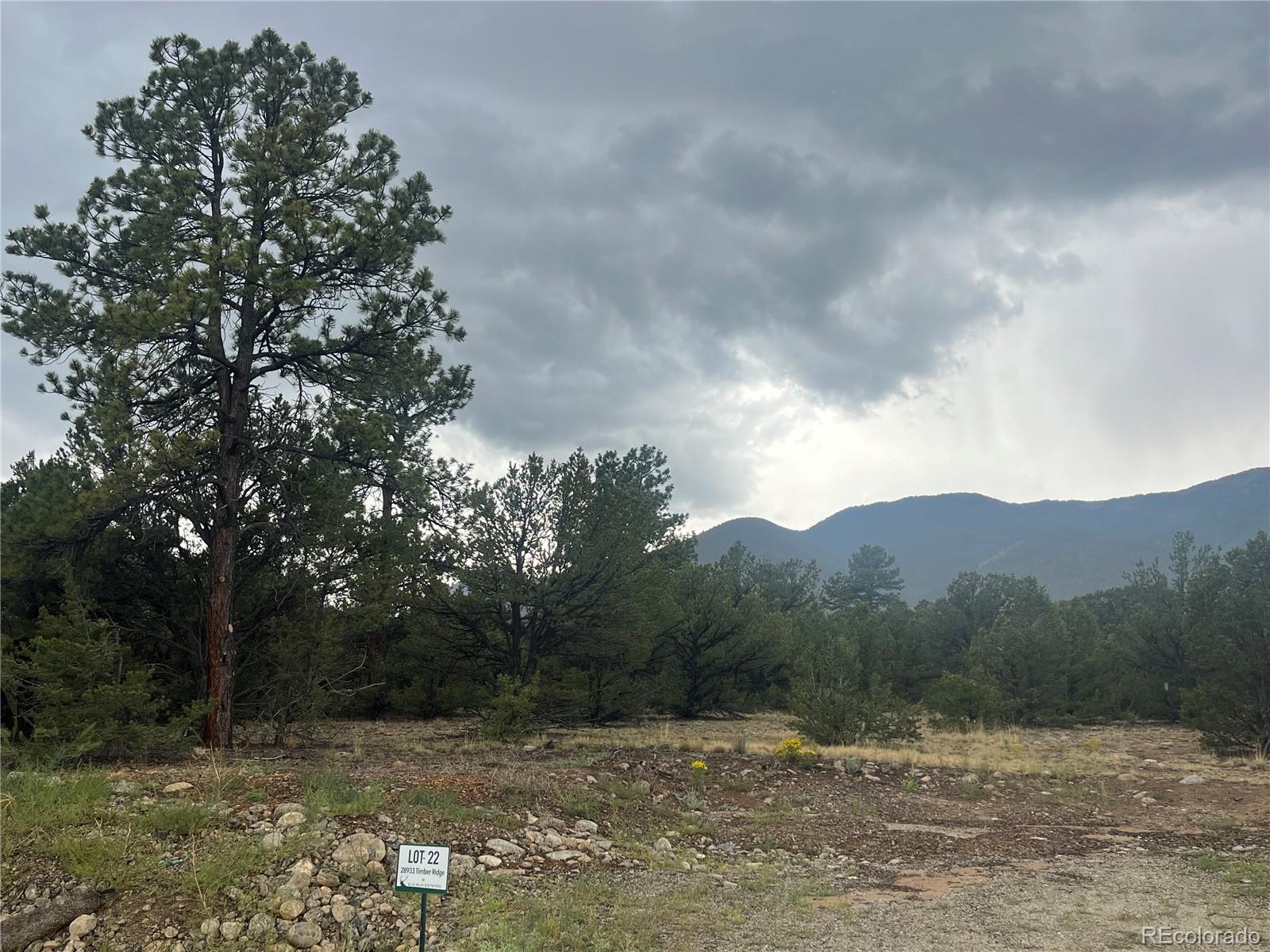 28933 Timber Ridge Buena Vista CO 81211
