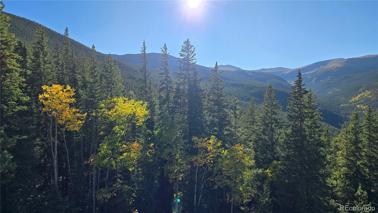Democrat Mountain Claims Georgetown CO 80444