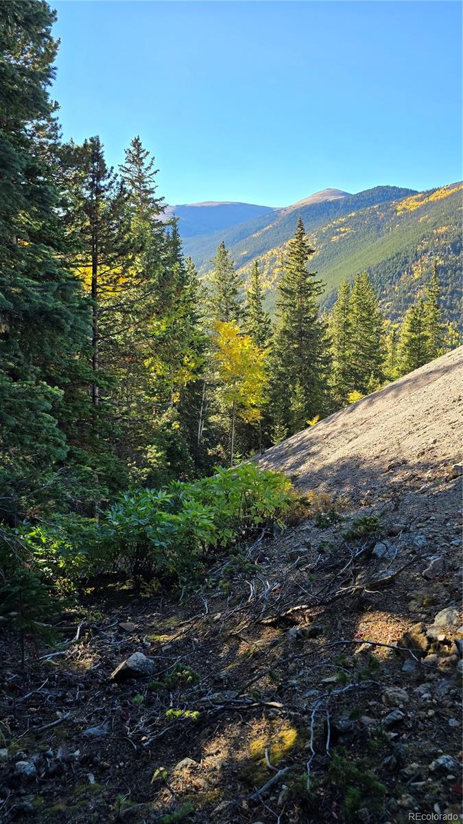 Democrat Mountain Claims Georgetown CO 80444