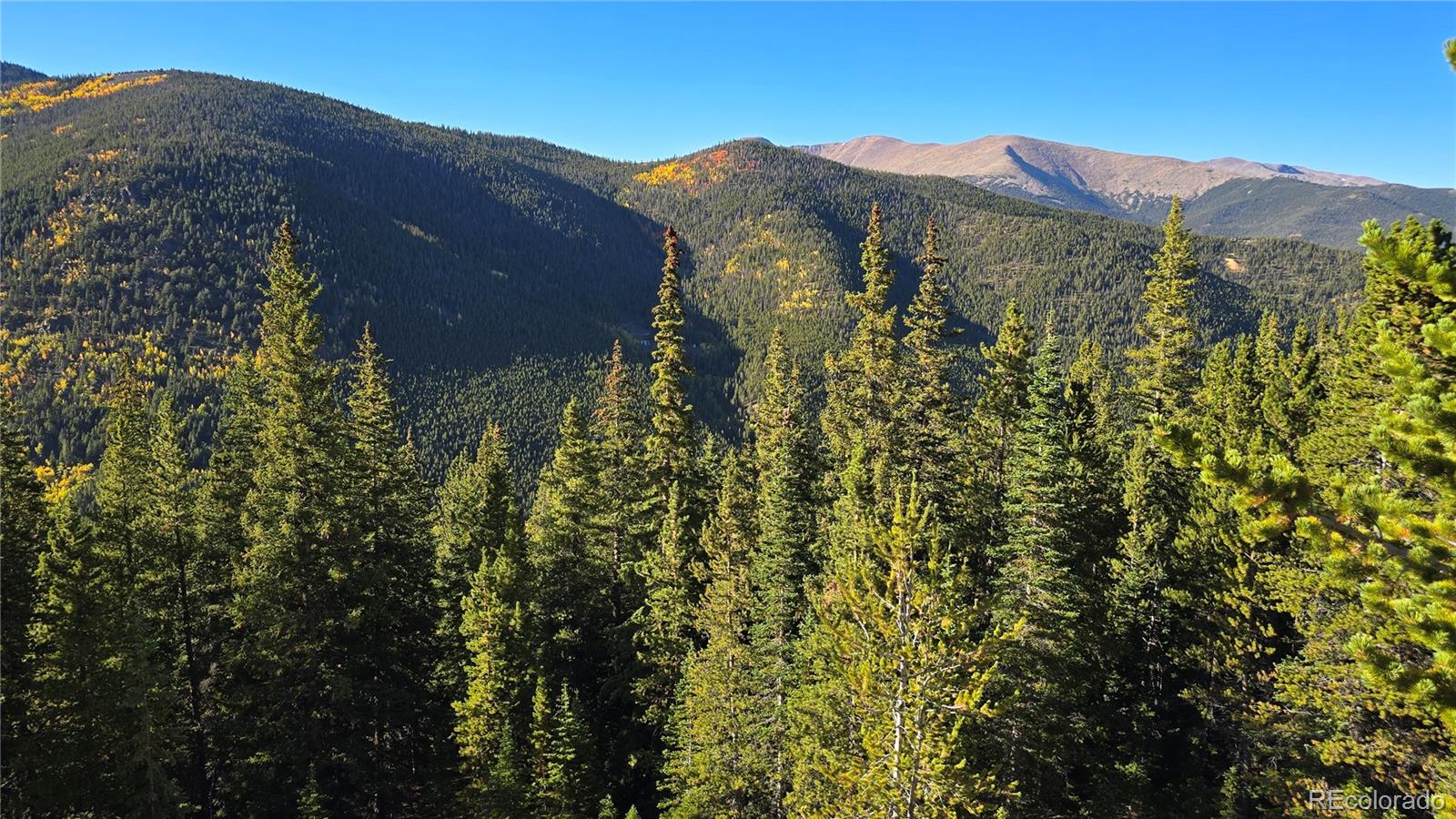 Democrat Mountain Claims Georgetown CO 80444