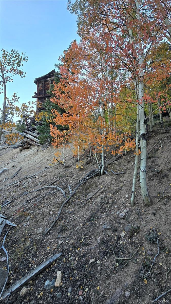 Democrat Mountain Claims Georgetown CO 80444