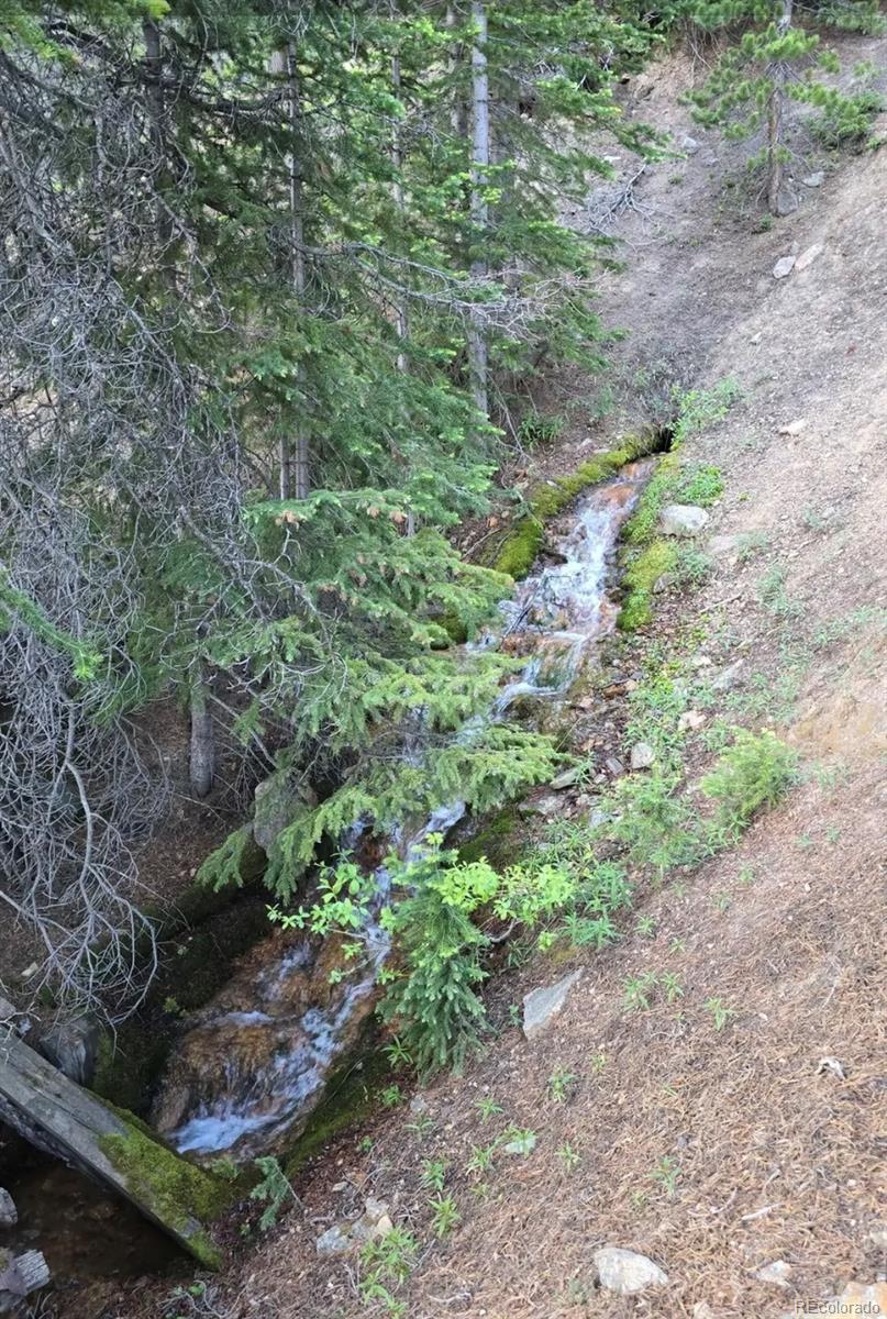 Democrat Mountain Claims Georgetown CO 80444