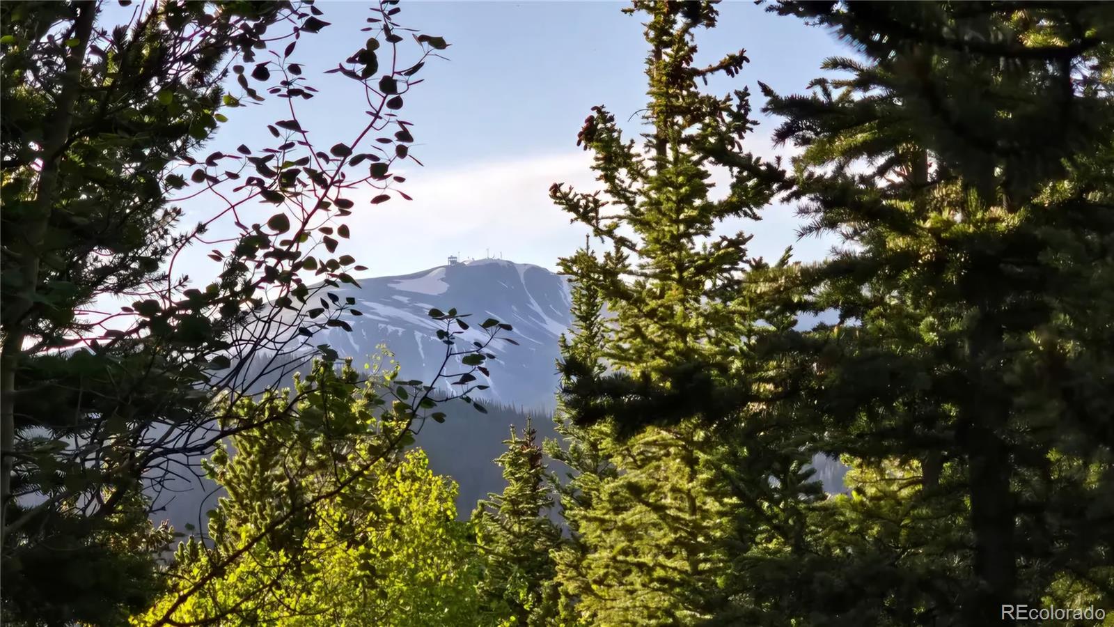 Democrat Mountain Claims Georgetown CO 80444