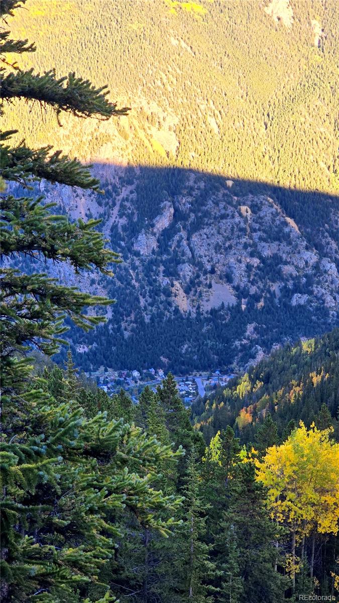 Democrat Mountain Claims Georgetown CO 80444