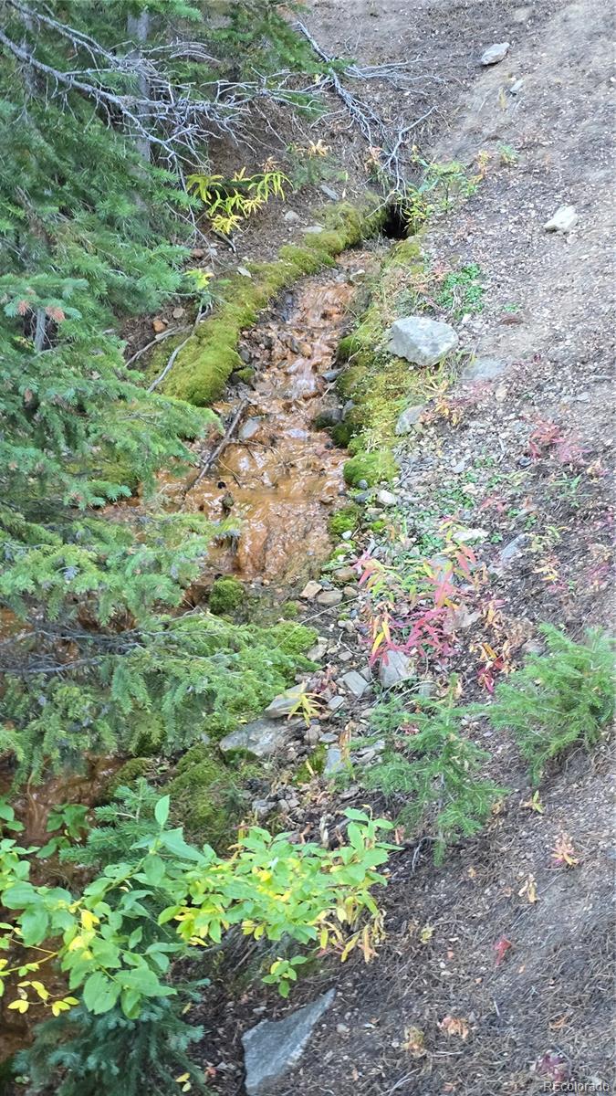 Democrat Mountain Claims Georgetown CO 80444