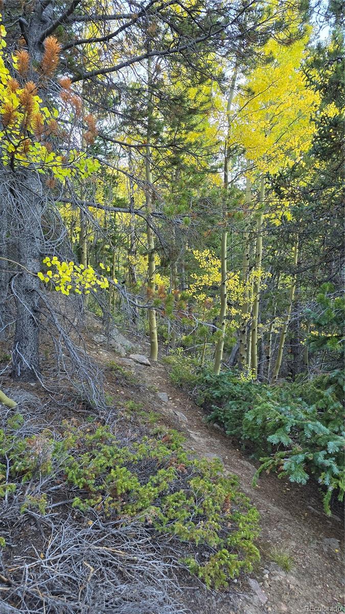 Democrat Mountain Claims Georgetown CO 80444