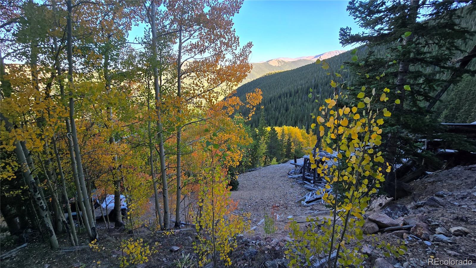 Democrat Mountain Claims Georgetown CO 80444