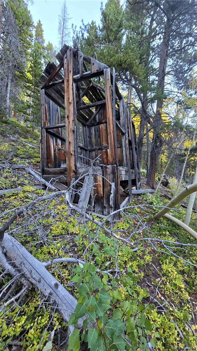 Democrat Mountain Claims Georgetown CO 80444