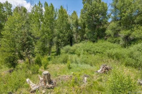 7918 Cozart Lane Salida CO 81201