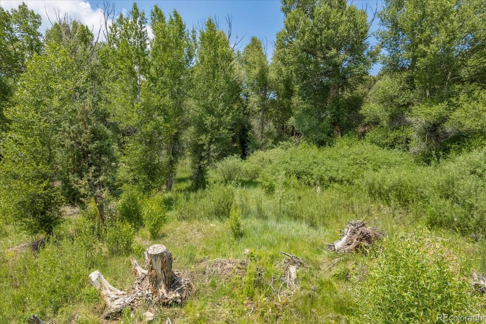 7918 Cozart Lane Salida CO 81201