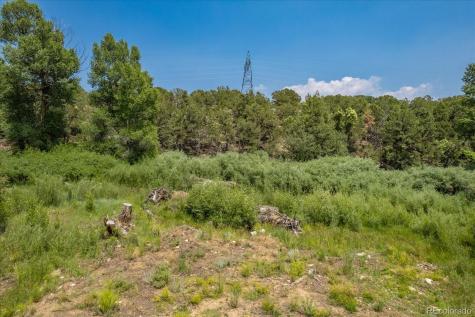 7918 Cozart Lane Salida CO 81201