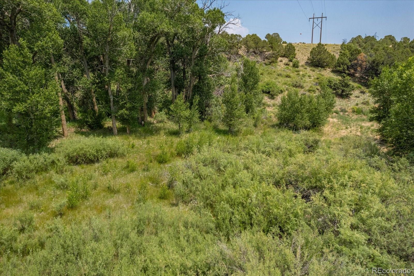 7918 Cozart Lane Salida CO 81201
