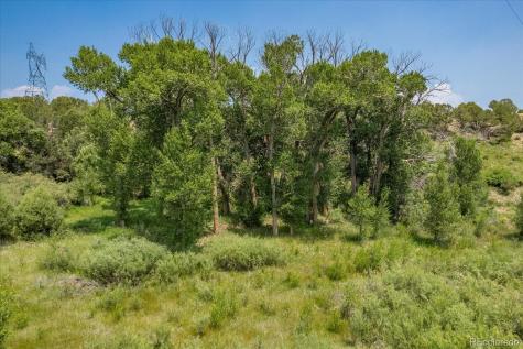 7918 Cozart Lane Salida CO 81201