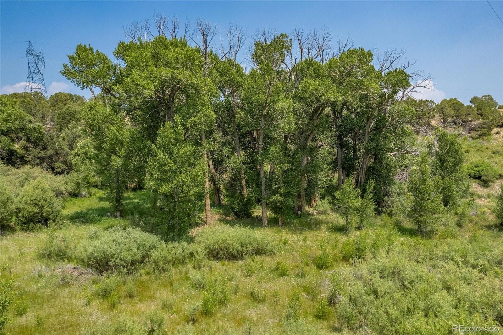 7918 Cozart Lane Salida CO 81201
