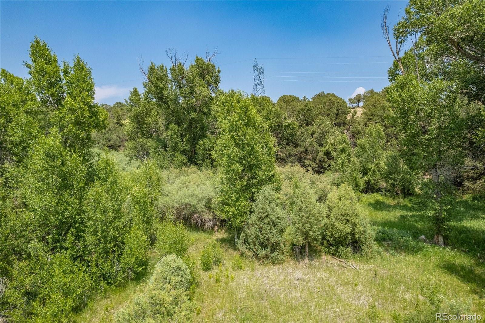 7918 Cozart Lane Salida CO 81201