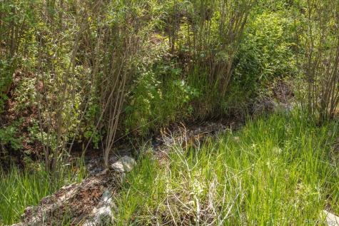 7918 Cozart Lane Salida CO 81201
