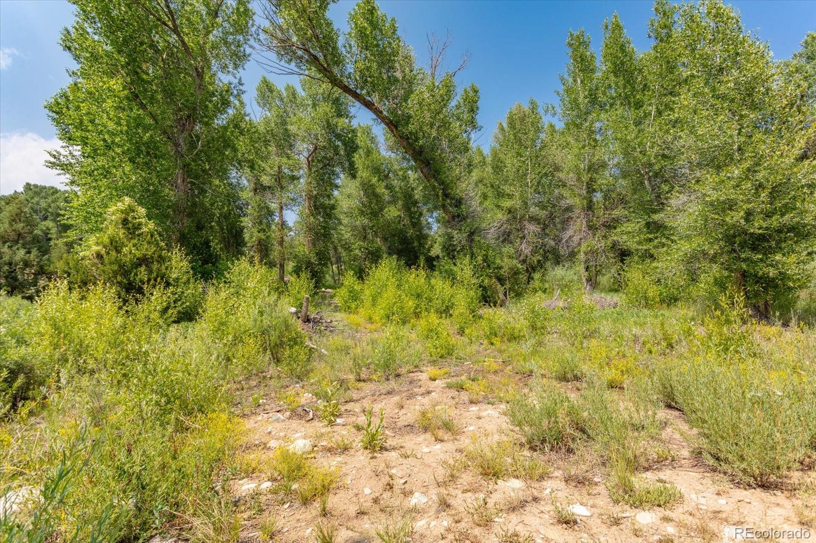 7918 Cozart Lane Salida CO 81201