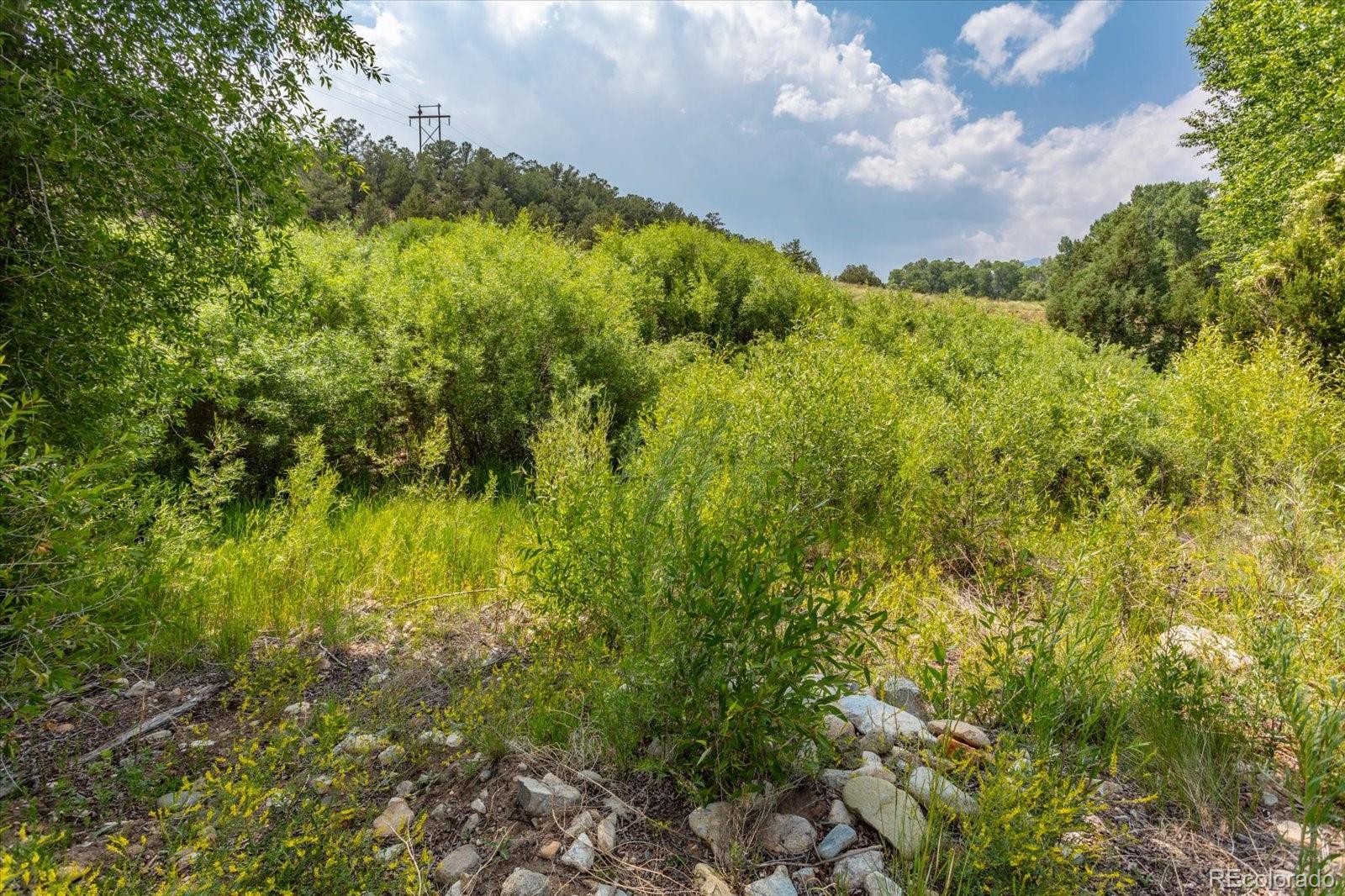 7918 Cozart Lane Salida CO 81201