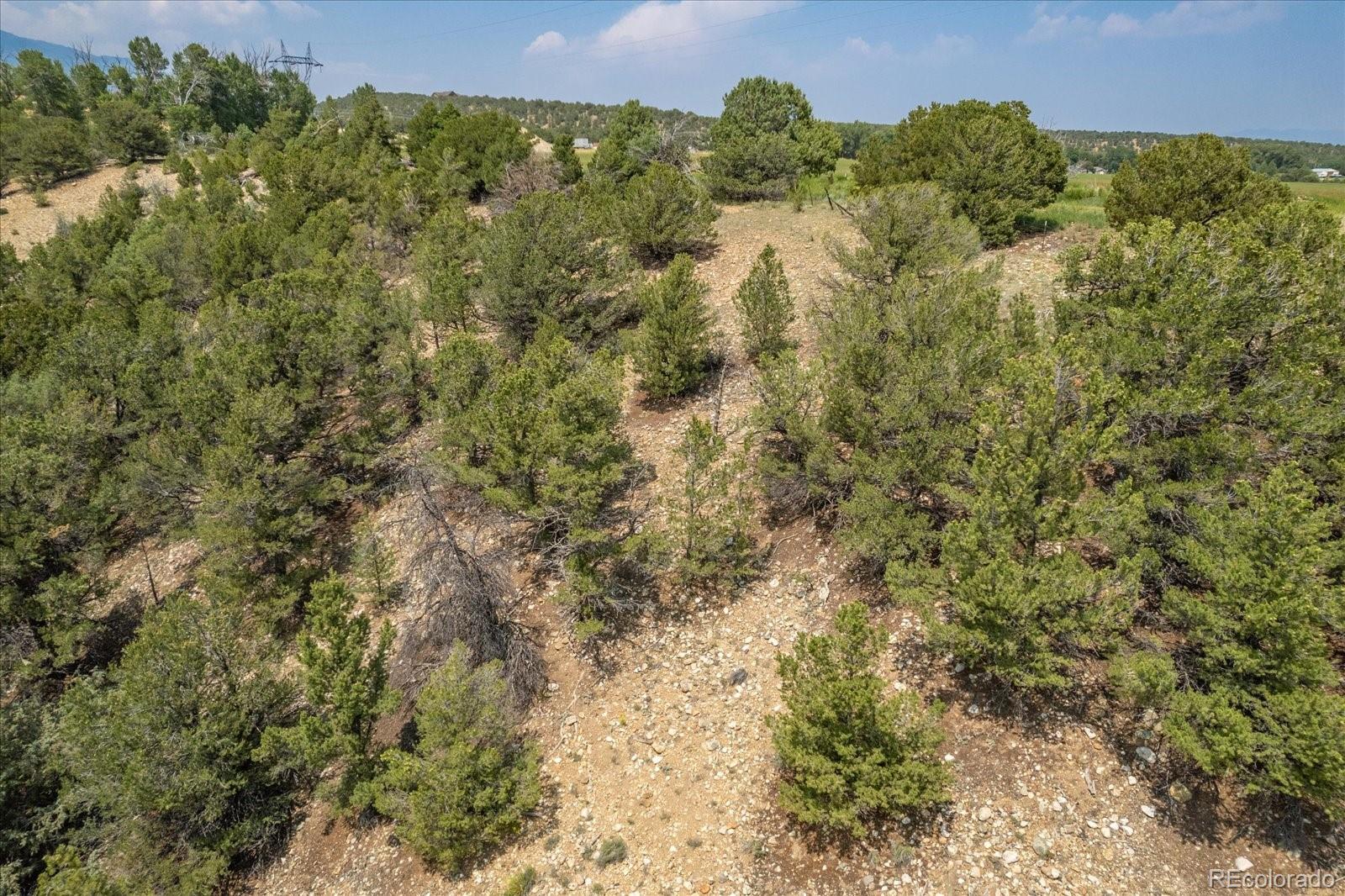 7918 Cozart Lane Salida CO 81201