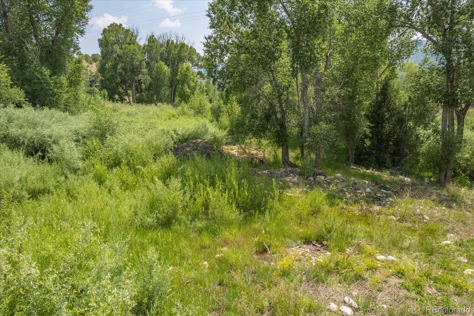 7918 Cozart Lane Salida CO 81201