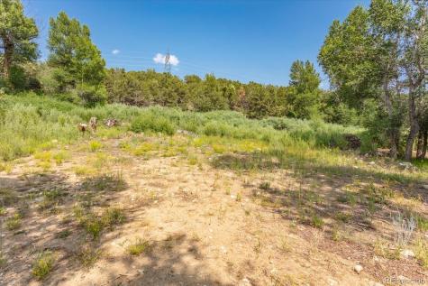 7918 Cozart Lane Salida CO 81201