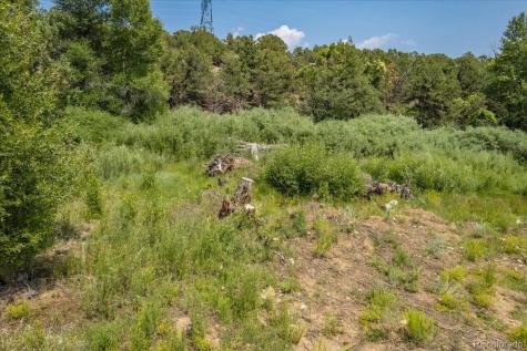 7918 Cozart Lane Salida CO 81201