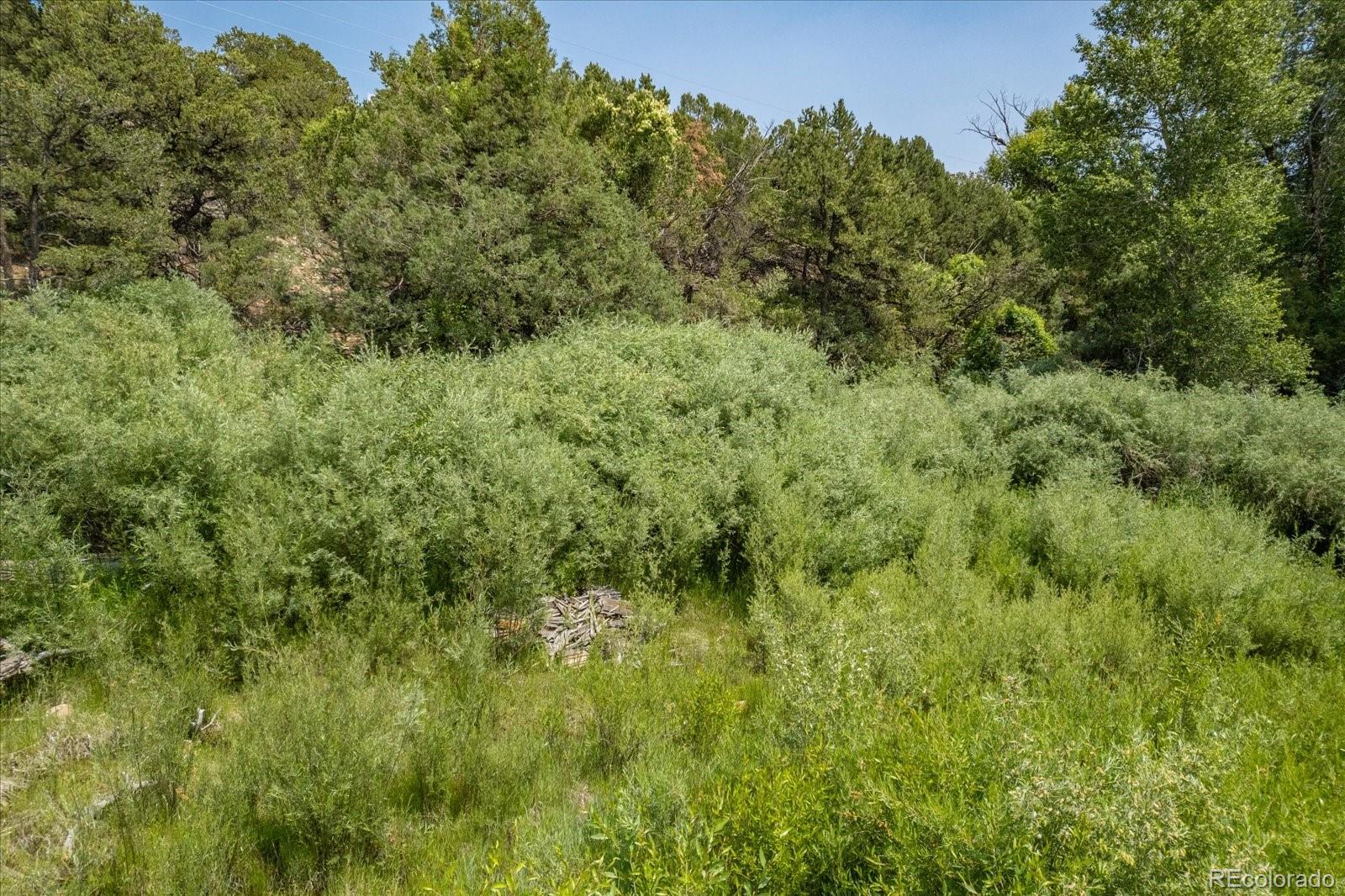 7918 Cozart Lane Salida CO 81201