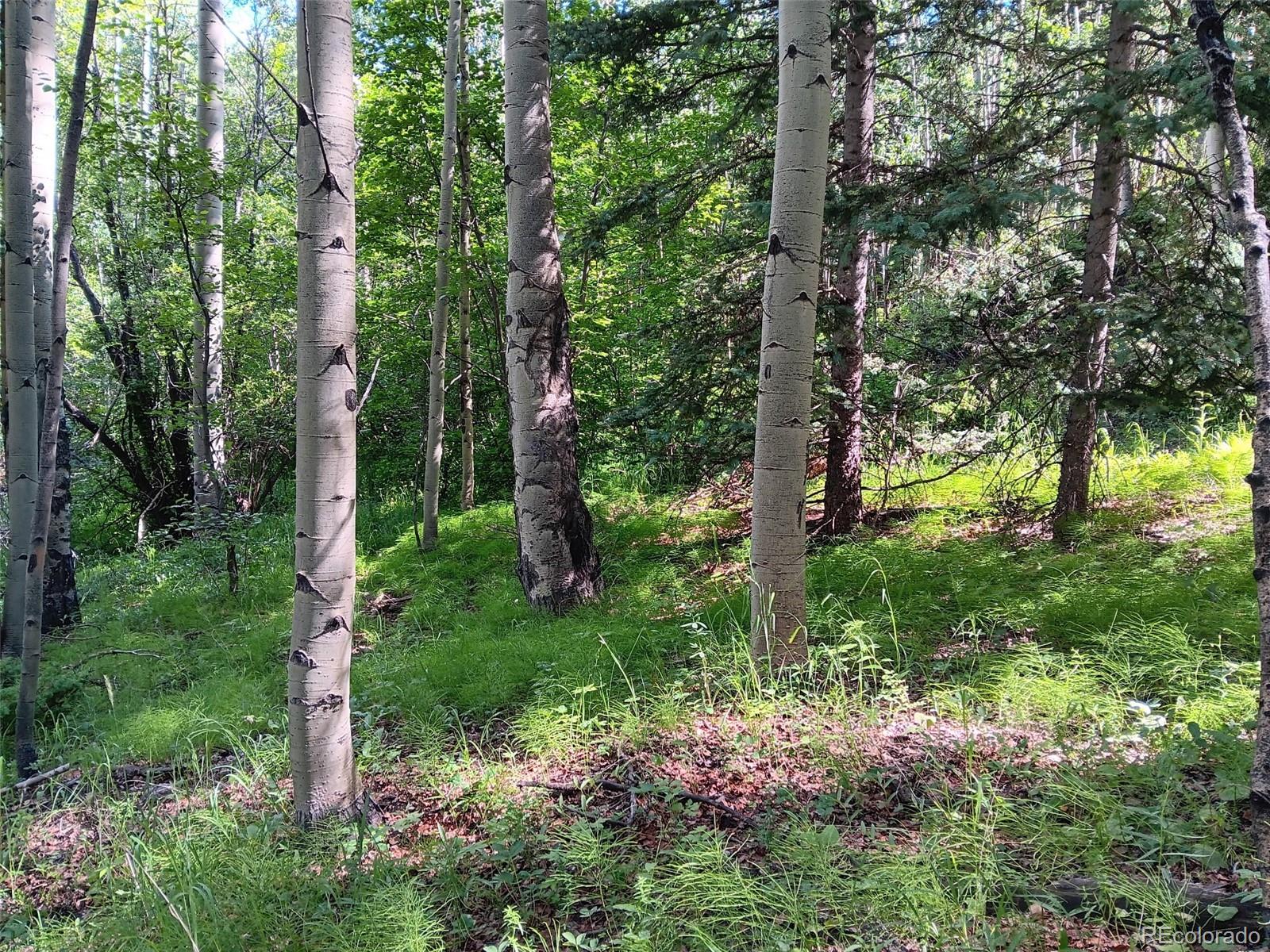 Lot 5244 Crossman Road Fort Garland CO 81133