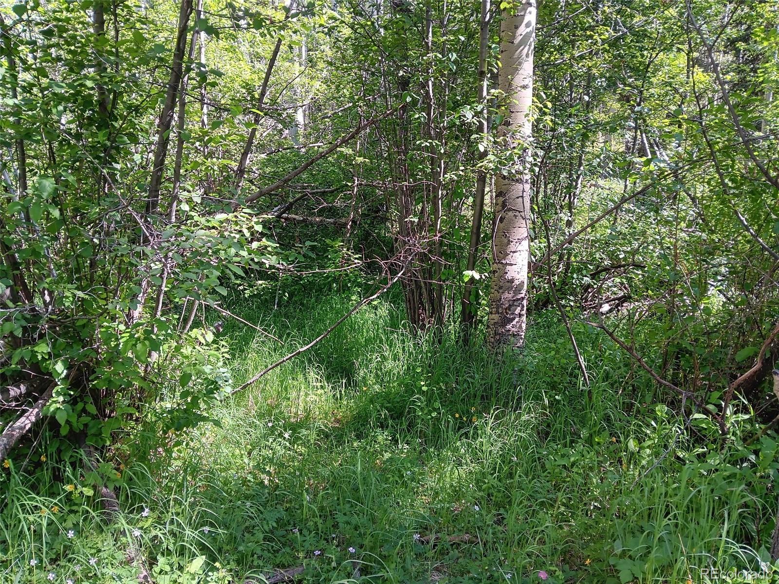 Lot 5244 Crossman Road Fort Garland CO 81133
