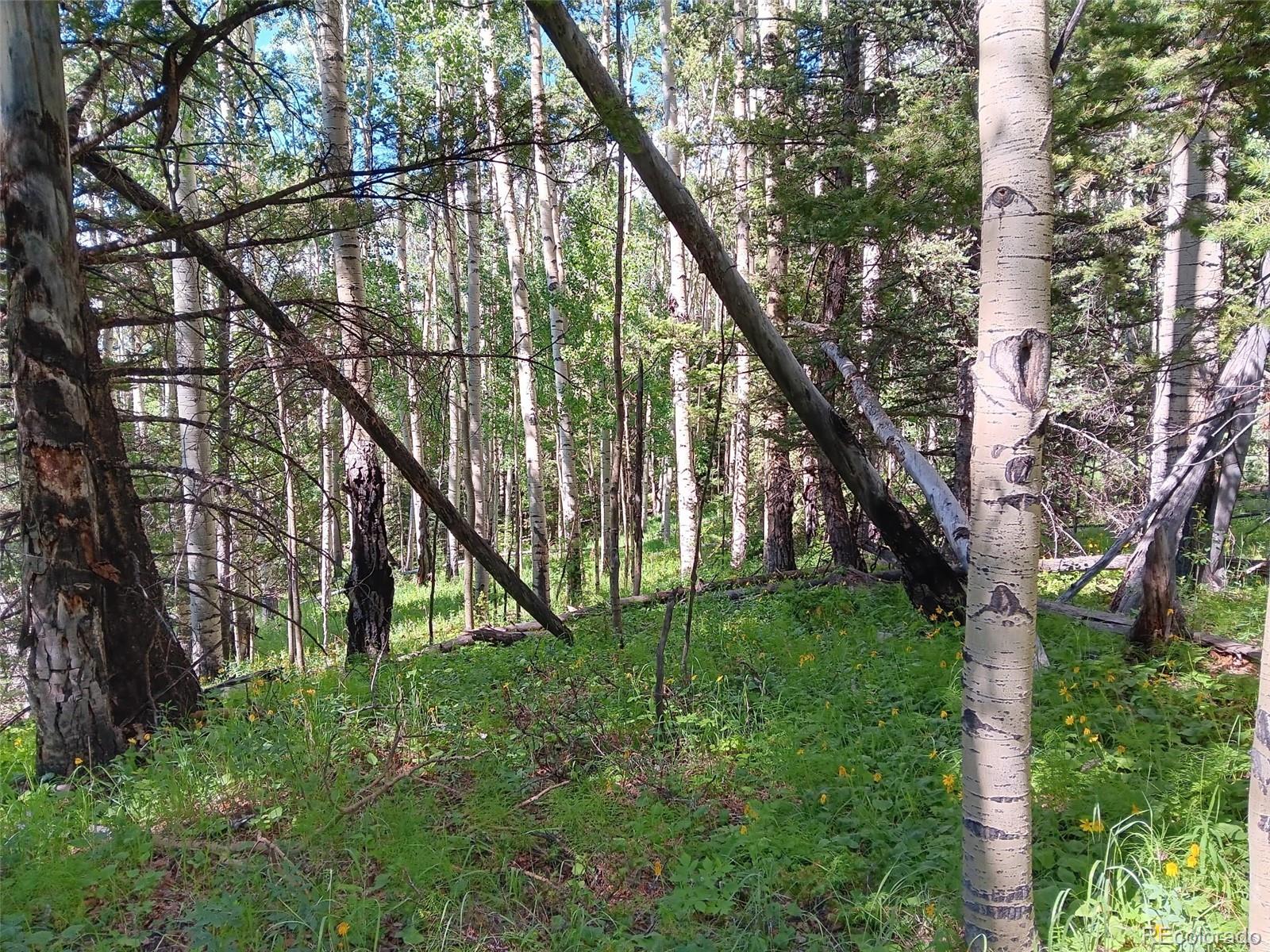 Lot 5244 Crossman Road Fort Garland CO 81133