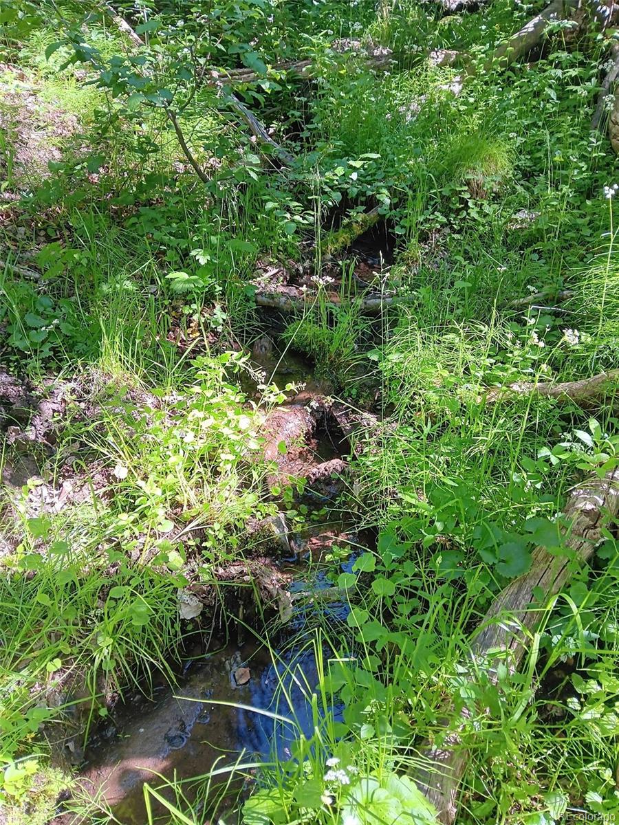 Lot 5244 Crossman Road Fort Garland CO 81133